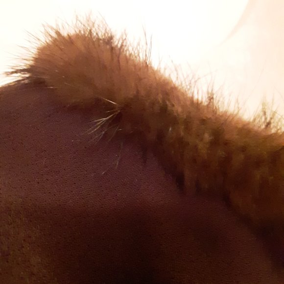 Cynthia Howie Brown Real Mink Collar Dress - Picture 4 of 5